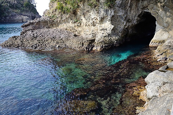 포토 JPG 주간 바다 자연 풍경 사람없음 야외 돌_바위 바위 굴 동굴 국내포토 자연요소 어패류 생태계 파일형식
