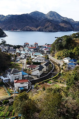 포토 JPG 주간 나무 식물 바다 자연 산 주택 풍경 해변 사람없음 야외 건물 마을 해안도시 국내포토 자연요소 건축물 도시 생태계 파일형식