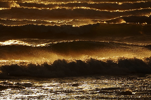 포토 JPG 주간 물결 파도 바다 백그라운드 자연 풍경 사람없음 야외 일몰 국내포토 자연요소 노을 생태계 파일형식