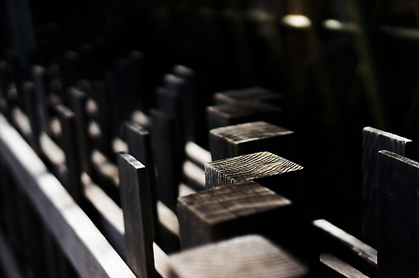 포토 JPG 주간 나무 해외풍경 아시아 풍경 사람없음 야외 아웃포커스 일본 일본전통 국내포토 자연요소 식물 전통 해외 나라 촬영기법 파일형식