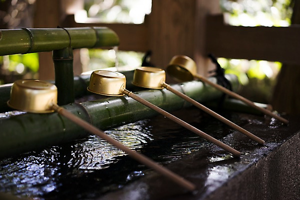 포토 JPG 주간 해외풍경 아시아 풍경 사람없음 야외 물 일본 사찰 사원 대나무 일본전통 바가지 국내포토 자연요소 나무 전통 해외 나라 비즈니스 종교건축 파일형식