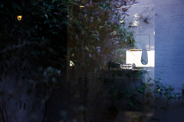 포토 JPG 주간 나무 식물 창문 탁자 그림자 풍경 사람없음 야외 컵 카페 국내포토 자연요소 식기 가구 상점 파일형식