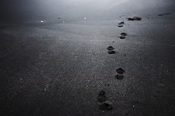 포토 JPG 주간 모래 바다 백그라운드 자연 풍경 해변 사람없음 야외 모래사장 발자국 국내포토 자연요소 자국 생태계 파일형식