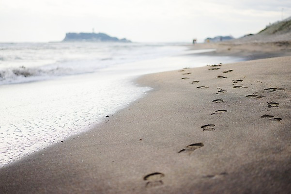 포토 JPG 주간 모래 바다 섬 자연 풍경 해변 사람없음 야외 아웃포커스 모래사장 발자국 국내포토 자연요소 자국 촬영기법 생태계 파일형식