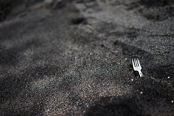 포토 JPG 주간 모래 포크 자연 해변 사람없음 야외 아웃포커스 모래사장 국내포토 자연요소 식기 바다 촬영기법 생태계 파일형식