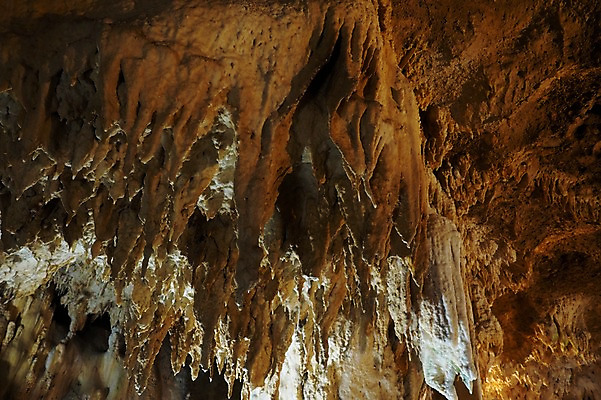 포토 JPG 자연 풍경 사람없음 암석 돌_바위 바위 굴 동굴 석회암 국내포토 어패류 생태계 파일형식