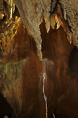 포토 JPG 자연 풍경 사람없음 암석 돌_바위 바위 굴 동굴 석회암 국내포토 어패류 생태계 파일형식