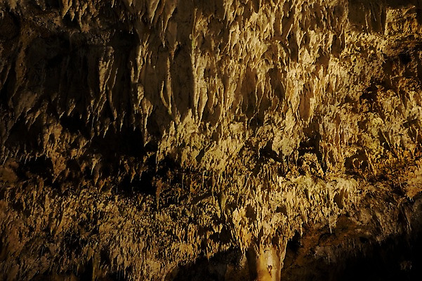 포토 JPG 자연 풍경 사람없음 암석 돌_바위 바위 굴 동굴 석회암 국내포토 어패류 생태계 파일형식