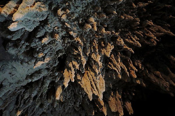 포토 JPG 자연 풍경 사람없음 암석 돌_바위 바위 굴 동굴 석회암 국내포토 어패류 생태계 파일형식