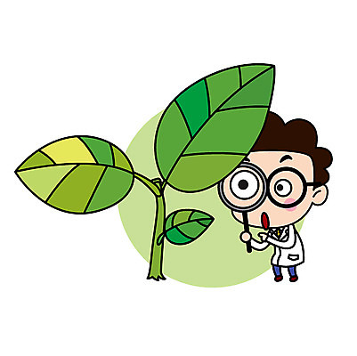 전신 직업 캐릭터 남자 안경 스티커 잎 일러스트 돋보기 직업캐릭터 한명 서기 들기 사람 성인 놀람 관찰 가운 실험복 과학자 성인남자한명만 안경낌 일러캐릭터 AI파일 식물 1 잡화 옷 감정 과학 모션 표정 학자 남자한명만 성인남자만 파일형식 벡터