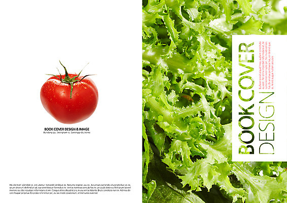 PSD 템플릿 편집 표지디자인 북디자인 출판디자인 표지 음식 백그라운드 토마토 채소 북커버 팜플렛 사람없음 신선 치커리 이미지템플릿 파일형식