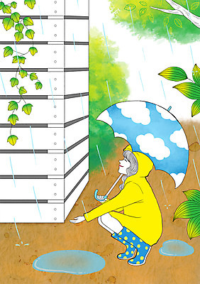 주간 PSD 나무 식물 라이프스타일 여자 일러스트 우산 날씨 장화 한명 사람 성인 야외 비 덩굴 모던 우비 모던피플 국내일러스트 자연요소 1 옷 신발 생활 파일형식