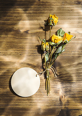 포토 JPG 스튜디오촬영 식물 꽃 컬러 꽃다발 꽃백그라운드 실내 사람없음 장미 노란색 라벨 나무바닥 드라이플라워 국내포토 백그라운드 바닥 프레임 내부 파일형식