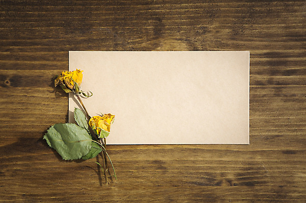 포토 JPG 스튜디오촬영 식물 꽃 컬러 꽃백그라운드 프레임 실내 사람없음 장미 노란색 나무바닥 드라이플라워 국내포토 백그라운드 바닥 내부 파일형식