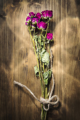 포토 JPG 스튜디오촬영 식물 꽃 꽃다발 꽃백그라운드 실내 사람없음 장미 나무바닥 노끈 국내포토 줄 백그라운드 바닥 내부 파일형식