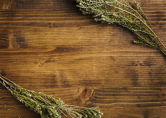 포토 JPG 스튜디오촬영 식물 잎 꽃백그라운드 프레임 실내 사람없음 나무바닥 국내포토 꽃 백그라운드 바닥 내부 파일형식