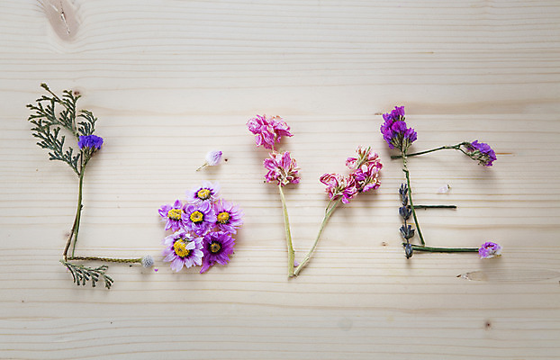 포토 JPG 스튜디오촬영 식물 알파벳 꽃 꽃백그라운드 실내 사랑 사람없음 드라이플라워 국내포토 영어 감정 백그라운드 내부 파일형식