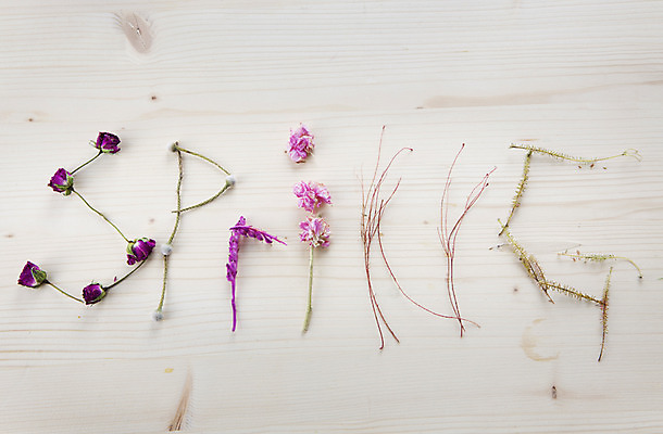 포토 JPG 스튜디오촬영 식물 알파벳 계절 꽃 꽃백그라운드 실내 사람없음 장미 봄 드라이플라워 국내포토 영어 백그라운드 내부 파일형식