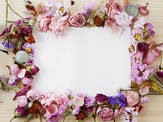 포토 JPG 스튜디오촬영 식물 꽃 종이 꽃백그라운드 프레임 실내 사람없음 국내포토 백그라운드 내부 파일형식