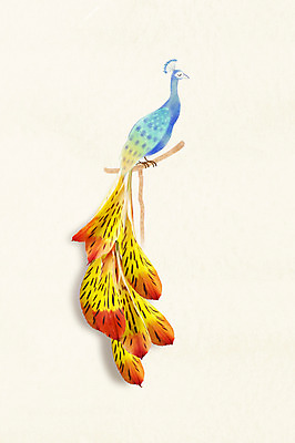 JPG 스튜디오촬영 식물 편집이미지 꽃 꽃백그라운드 조류 포토일러 실내 사람없음 표현 공작 깃털 활용 편집실사 동물 백그라운드 컨셉 내부 CG 파일형식