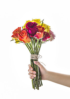 포토 JPG 스튜디오촬영 식물 손 꽃 꽃다발 꽃백그라운드 실내 사람 신체부위 컬러풀 장미 국내포토 컬러 백그라운드 내부 파일형식