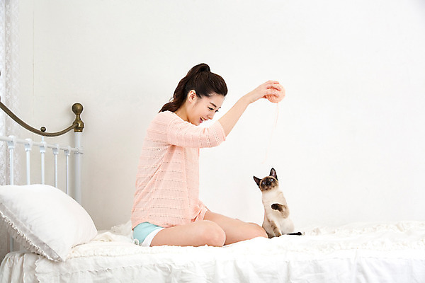 포토 JPG 동물 한마리 여자 여유 베개 놀이 휴식 실내 한명 사람 동양인 20대 성인 반려동물 고양이 한국인 침대 털실 반려 안식처 청년만 청년여자만 청년여자한명만 성인여자한명만 국내포토 1 감정 가구 컨셉 포유류 침구 인종 청년 내부 실 여자만 여자한명만 성인여자만 성인만 파일형식