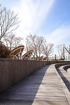포토 JPG 주간 나무 식물 구름 하늘 서울 한국 한명 앉기 풍경 야외 한강 반포대교 세빛섬 국내포토 자연요소 1 아시아 섬 모션 사람 다리_건축물 랜드마크 파일형식
