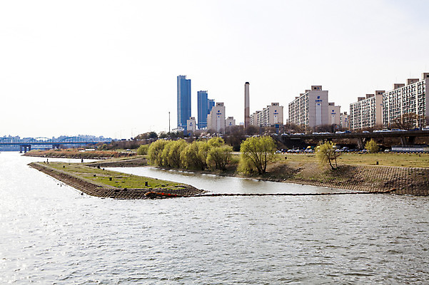 포토 JPG 주간 나무 식물 아파트 서울 한국 풍경 빌딩 잔디 사람없음 야외 건물 강 한강 고수부지 반포대교 국내포토 자연요소 건축물 아시아 주택 다리_건축물 랜드마크 파일형식