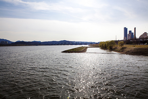 포토 JPG 주간 나무 식물 구름 하늘 서울 한국 풍경 사람없음 야외 강 햇빛 한강 고수부지 반포대교 국내포토 자연요소 아시아 태양 다리_건축물 랜드마크 파일형식