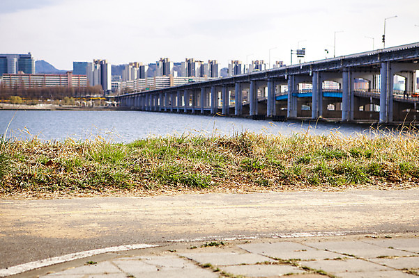 포토 JPG 주간 서울 한국 풍경 사람없음 야외 강 한강 고수부지 반포대교 가교 국내포토 자연요소 건축물 아시아 다리_건축물 랜드마크 파일형식