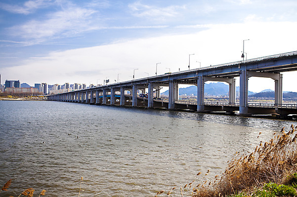 포토 JPG 주간 구름 하늘 서울 한국 갈대 풍경 사람없음 야외 강 한강 고수부지 반포대교 가교 국내포토 자연요소 식물 건축물 아시아 다리_건축물 랜드마크 파일형식