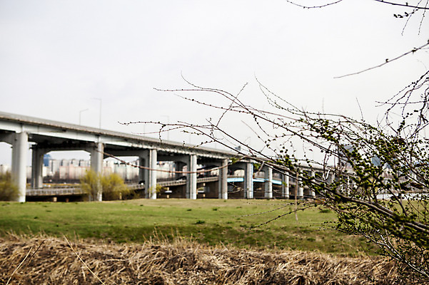 포토 JPG 주간 하늘 서울 한국 풍경 사람없음 야외 한강 반포대교 가교 국내포토 자연요소 건축물 아시아 다리_건축물 랜드마크 파일형식