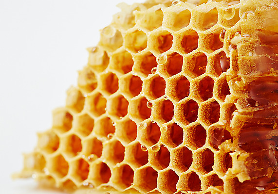 포토 JPG 스튜디오촬영 음식 배경화면 백그라운드 실내 근접촬영 사람없음 꿀 벌집 벌꿀 국내포토 뷰포인트 내부 파일형식