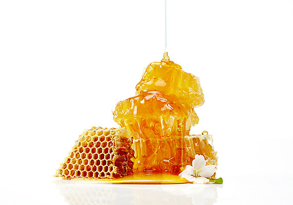 포토 JPG 스튜디오촬영 식물 꽃잎 꽃 음식 백그라운드 실내 사람없음 꿀 벌집 벌꿀 국내포토 내부 파일형식