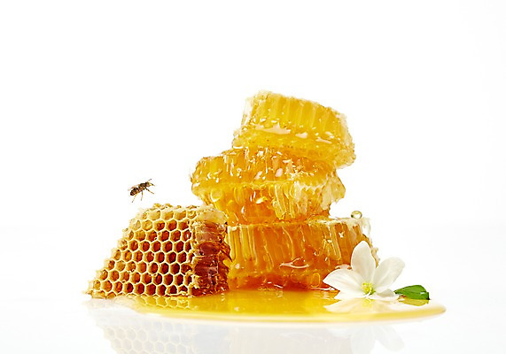 포토 JPG 스튜디오촬영 식물 꽃잎 꽃 음식 배경화면 곤충 백그라운드 실내 사람없음 꿀벌 벌 꿀 벌집 벌꿀 국내포토 동물 내부 벌_곤충 파일형식