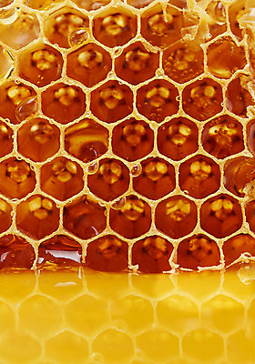 포토 JPG 스튜디오촬영 음식 배경화면 백그라운드 실내 근접촬영 사람없음 꿀 벌집 벌꿀 국내포토 뷰포인트 내부 파일형식