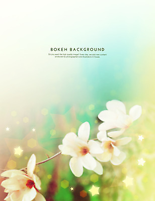 PSD 편집이미지 꽃 별 백그라운드 포토일러 사람없음 벚꽃 보케 육각형 이미지편집 자연요소 도형 식물 파일형식