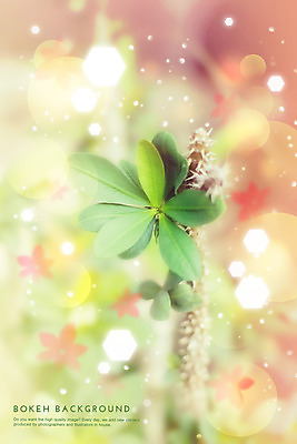 PSD 식물 편집이미지 백그라운드 잎 꽃무늬 포토일러 나뭇잎 사람없음 나뭇가지 원형 보케 육각형 이미지편집 도형 나무 꽃 무늬 파일형식