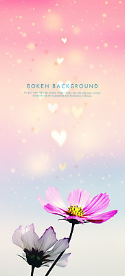 PSD 편집이미지 꽃 분홍색 컬러 백그라운드 포토일러 사람없음 하트 원형 두송이 코스모스 보케 이미지편집 모양 도형 식물 2 파일형식