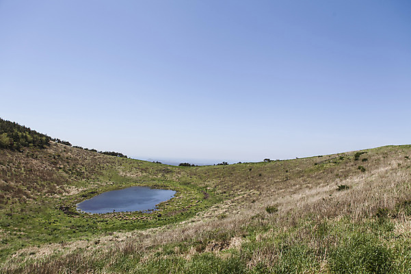 포토 JPG 주간 식물 자연 하늘 한국 풍경 사람없음 야외 제주도 풀 웅덩이 국내포토 자연요소 아시아 생태계 파일형식