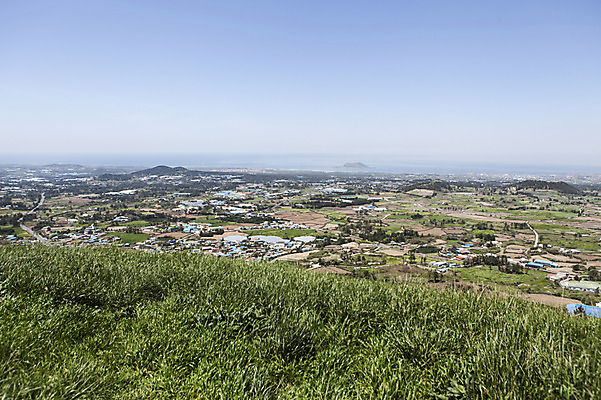 포토 JPG 주간 식물 자연 하늘 한국 풍경 잔디 사람없음 야외 제주도 마을 풀 국내포토 자연요소 아시아 생태계 파일형식