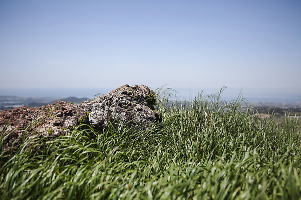 포토 JPG 주간 식물 자연 하늘 한국 풍경 잔디 사람없음 야외 제주도 돌_바위 바위 풀 국내포토 자연요소 아시아 생태계 파일형식