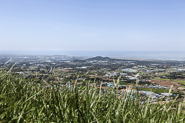 포토 JPG 주간 식물 바다 자연 하늘 한국 풍경 사람없음 야외 제주도 풀 국내포토 자연요소 아시아 생태계 파일형식