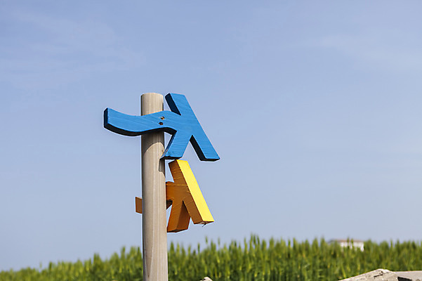 포토 JPG 주간 나무 식물 자연 하늘 한국 풍경 사람없음 야외 제주도 표지판 가파도 올레길 청보리 청보리밭 국내포토 자연요소 아시아 길 섬 밭 알림판 생태계 보리 파일형식