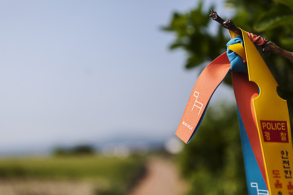 포토 JPG 주간 자연 한국 풍경 사람없음 야외 제주도 가파도 올레길 국내포토 자연요소 아시아 길 섬 생태계 파일형식