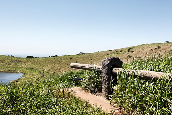 포토 JPG 주간 식물 자연 하늘 한국 풍경 초원 사람없음 야외 제주도 풀 국내포토 자연요소 아시아 생태계 파일형식