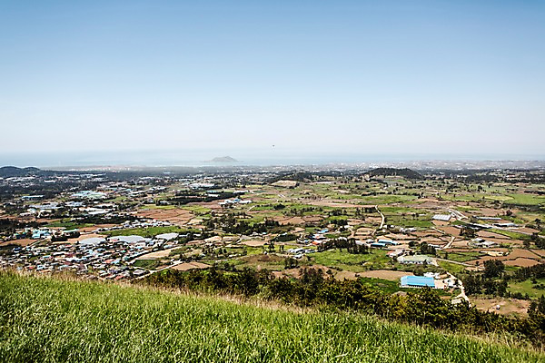 포토 JPG 주간 식물 자연 하늘 한국 풍경 사람없음 야외 제주도 마을 풀 국내포토 자연요소 아시아 생태계 파일형식
