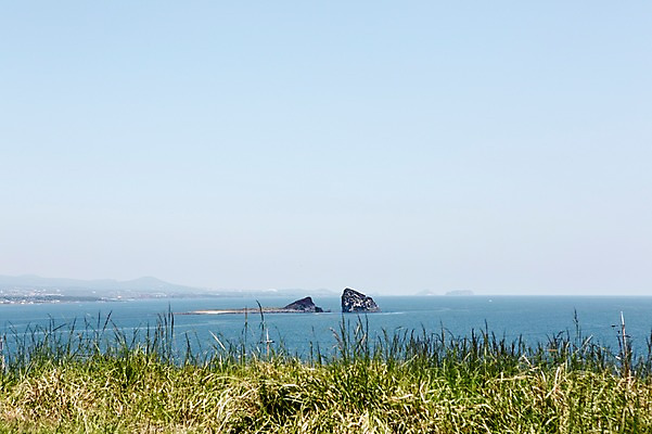 포토 JPG 주간 식물 바다 섬 자연 하늘 한국 풍경 잔디 사람없음 야외 제주도 풀 형제섬 국내포토 자연요소 아시아 생태계 파일형식