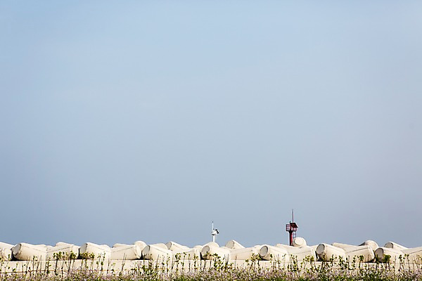 포토 JPG 주간 바다 자연 하늘 한국 등대 풍경 사람없음 야외 제주도 방파제 국내포토 자연요소 공공시설 아시아 생태계 파일형식