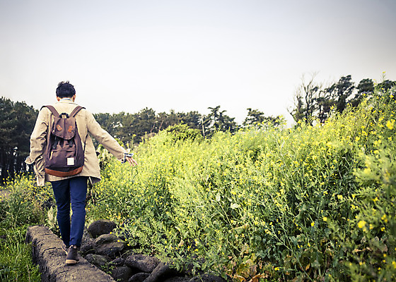 포토 JPG 주간 식물 라이프스타일 남자 꽃 여유 맨라이프 여행 꽃밭 모션 하늘 휴식 한국 한명 사람 동양인 20대 성인 야외 뒷모습 제주도 걷기 한국인 자유 유채 남자만 남자한명만 성인남자만 청년만 청년남자만 청년남자한명만 성인한명만 성인남자한명만 성인만 국내포토 자연요소 1 감정 아시아 뷰포인트 컨셉 인종 청년 생활 파일형식